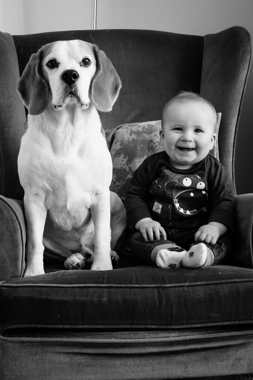 I've Taken A Picture Of My Son And Beagle Every Month For The Last Two Years In The Same Chair