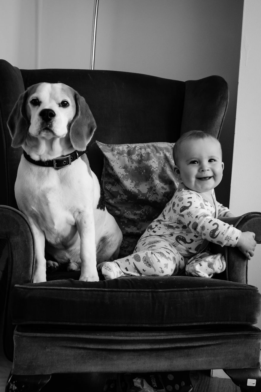 I've Taken A Picture Of My Son And Beagle Every Month For The Last Two Years In The Same Chair