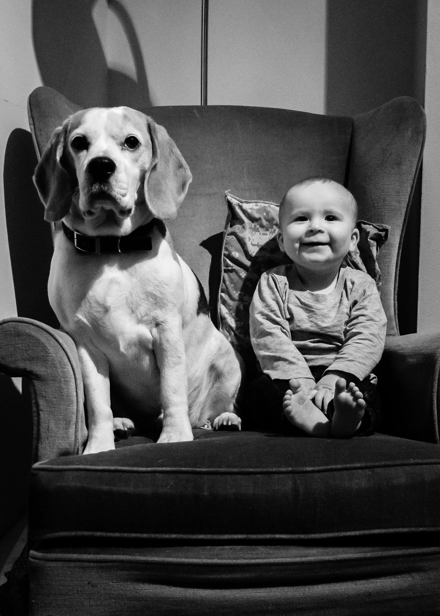 I've Taken A Picture Of My Son And Beagle Every Month For The Last Two Years In The Same Chair