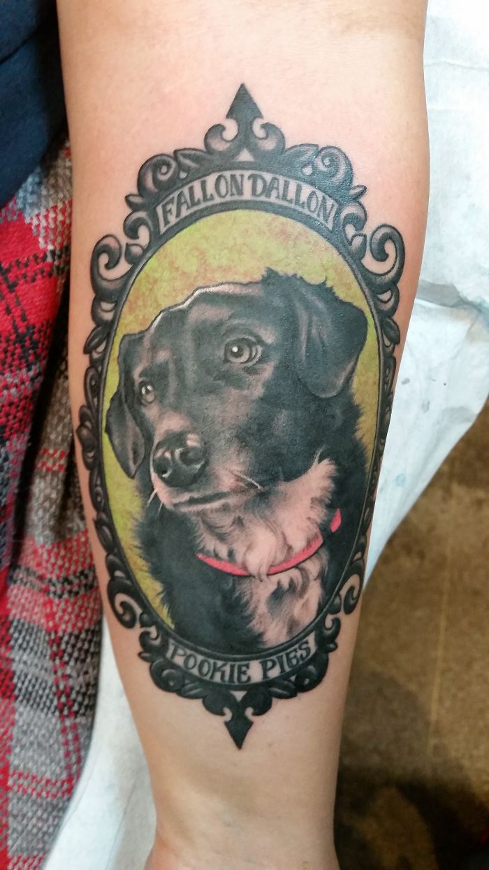 Realistic dog tattoo with intricate frame on arm, featuring a black and white dog with a red collar.