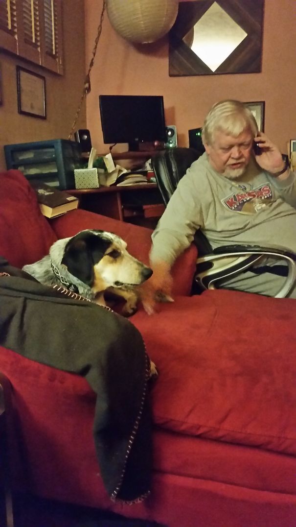 Not Another Dog. I Don't Want A Dog. I'm Not A Dog Person. Then Takes Our Dog To The Park For Two Hours Every Day And Knows The Names Of Every Dog There.