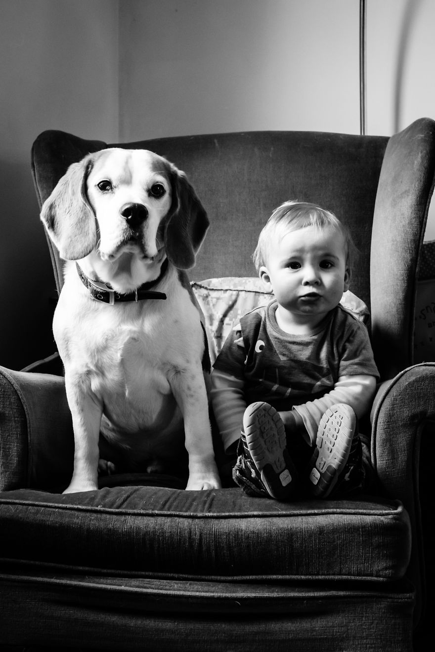 I've Taken A Picture Of My Son And Beagle Every Month For The Last Two Years In The Same Chair