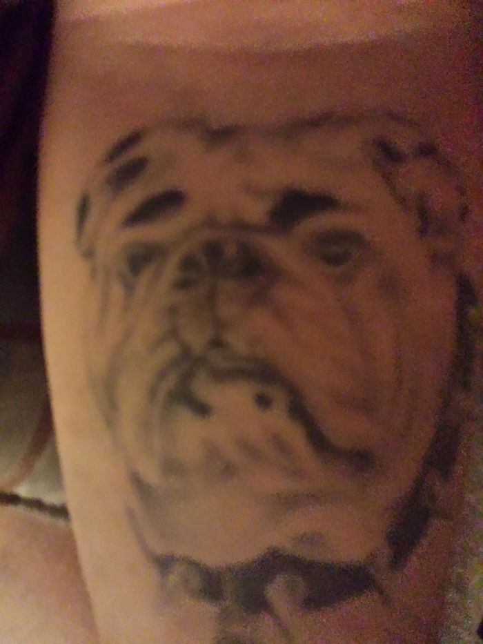 Dog tattoo design featuring a detailed bulldog face on skin.