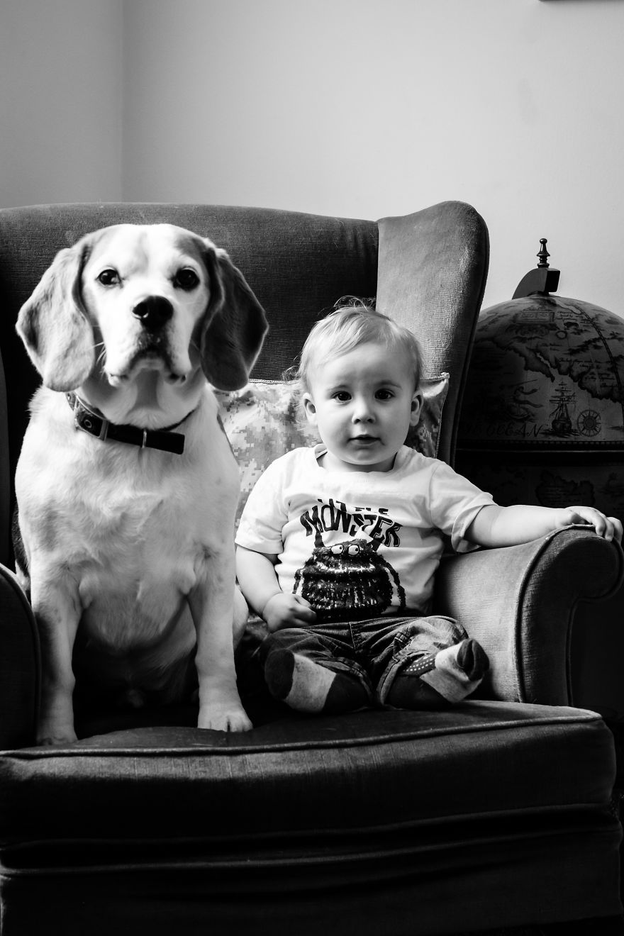 I've Taken A Picture Of My Son And Beagle Every Month For The Last Two Years In The Same Chair