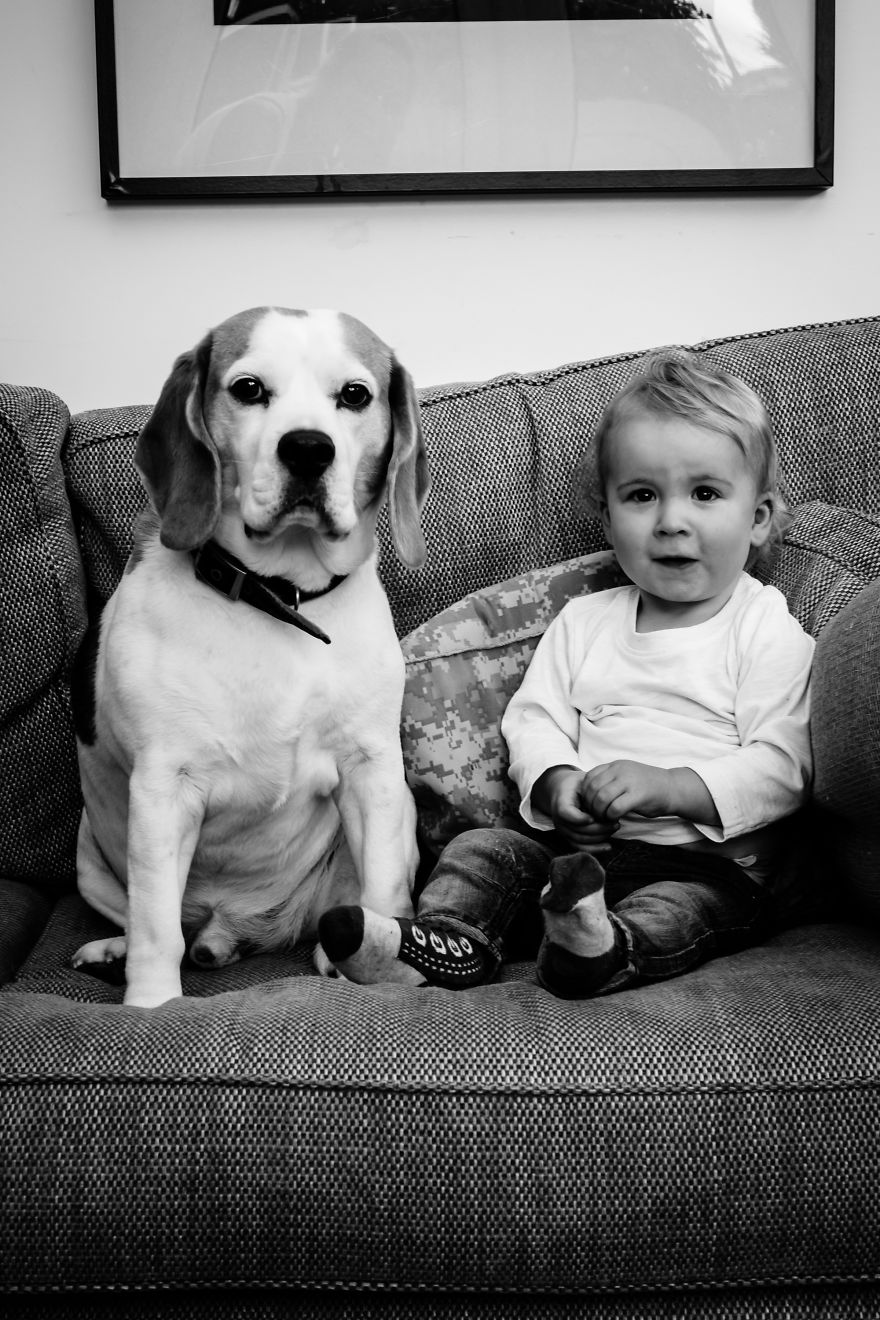 I've Taken A Picture Of My Son And Beagle Every Month For The Last Two Years In The Same Chair