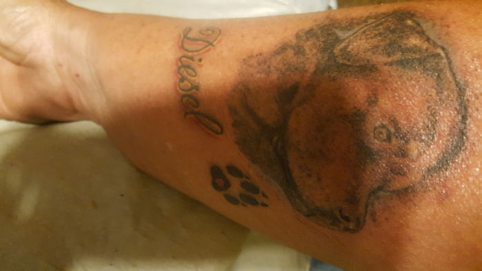 Dog tattoo design with a paw print and the word "Diesel" on a forearm.