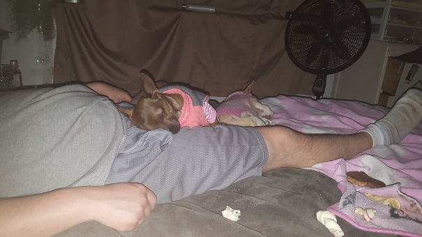 Didn't Want A 2nd Dog....she Wanted Him Tho!