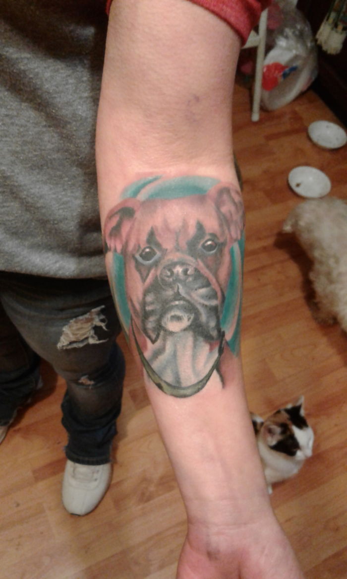 Dog tattoo on forearm featuring a colorful, realistic design of a boxer's face.