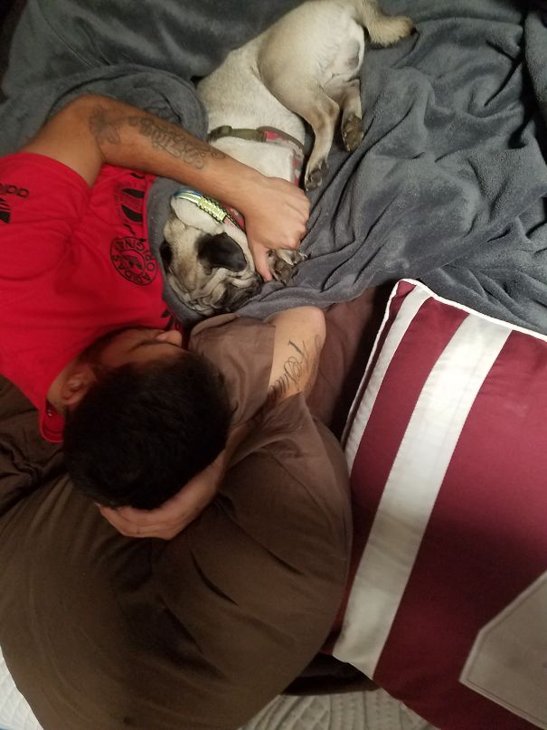 Dad Always Says He Doesnt Like Our Dog....put This Is Daily