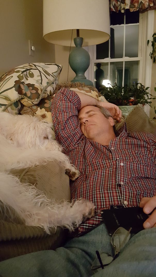 My Dad Never Wanted A Dog But They Go Everywhere Together.