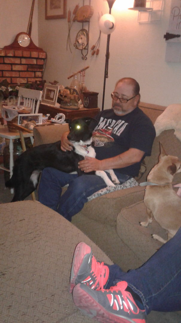 Dad Said He Never Wanted A Dog Again