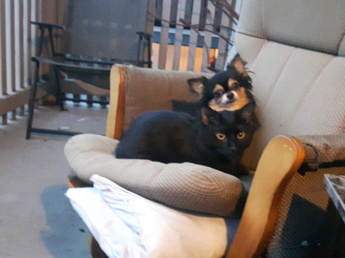 Not So Baby Gaia And Spike