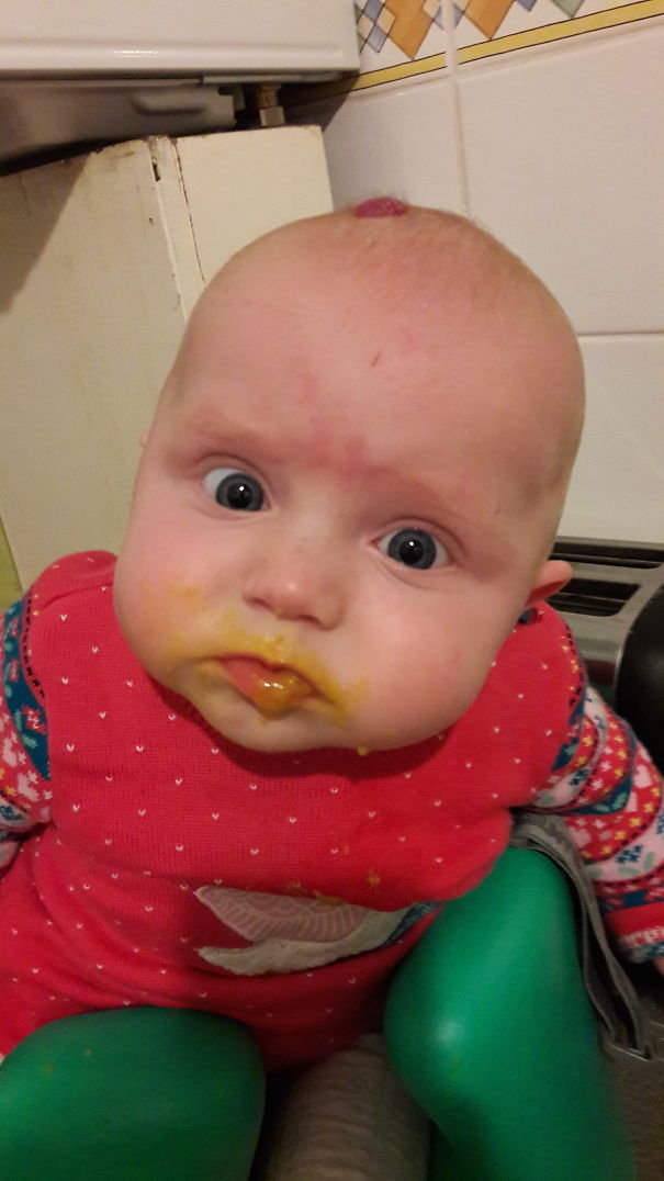 What The F*** Did I Just Eat?!