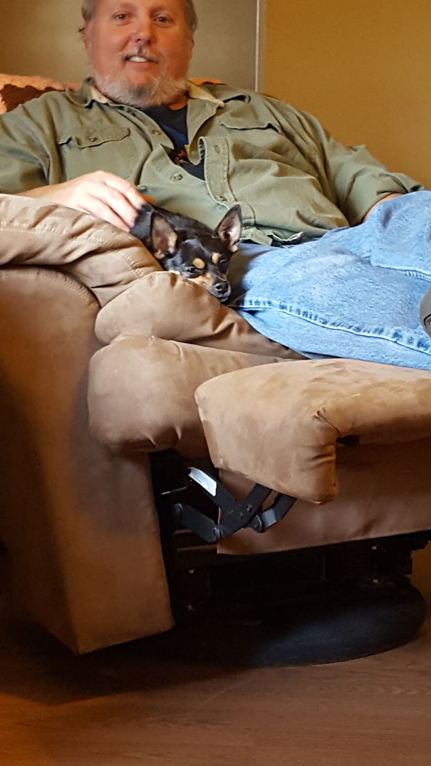 Dad Refused To Let Me Get A Dog & Didn't Want To Care For One. Now That Me And The Dog Have Moved Out He Begs To Dogsit And Wants His Own Dog.