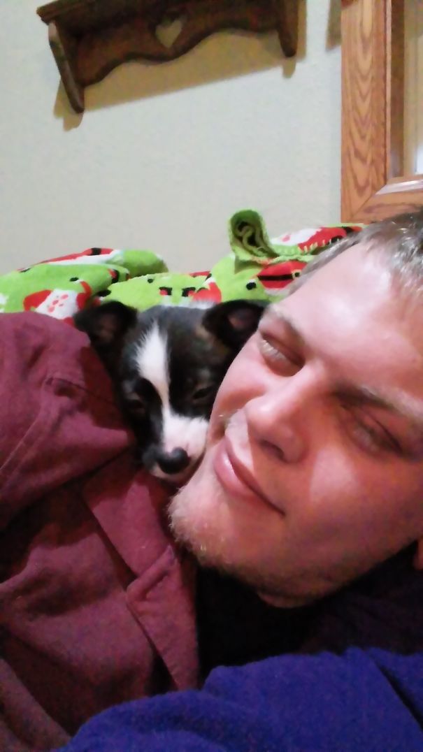 My Wonderful Husband And Loving Father To Our Daughter, Swore He Would Never Have A Little Dog. I Think She Proved Him Wrong.