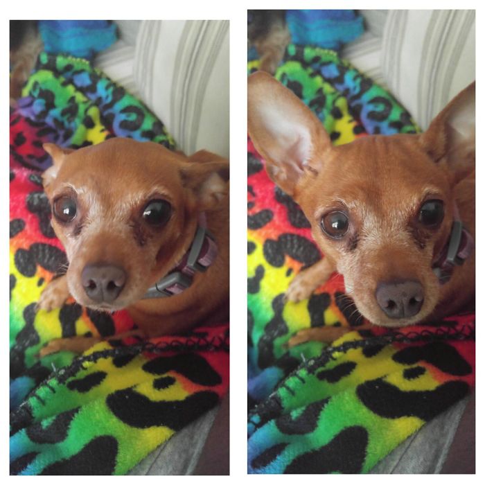 Being Called Good Boy...befor & After