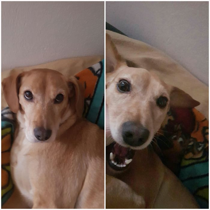 When I Said Her Name She Looked At Me With This Innocent Eyes.and Then..