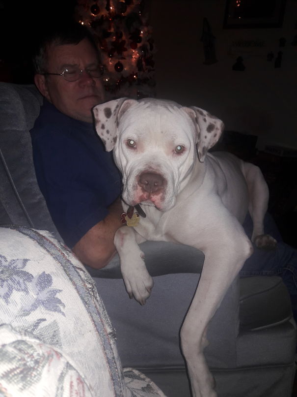 Don't Tell Me You Don't Want The Dog!