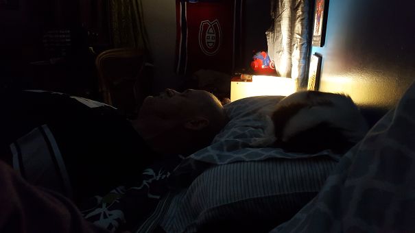 Shes Not Allowed On The Bed.. Thats Right Shes On Ur Pillow