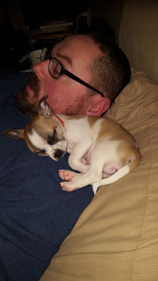 He Said We Couldn't Get Another Dog.