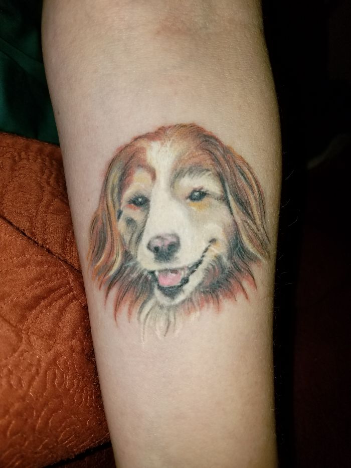 Dog tattoo on forearm, featuring a realistic, smiling dog portrait with detailed fur coloring.