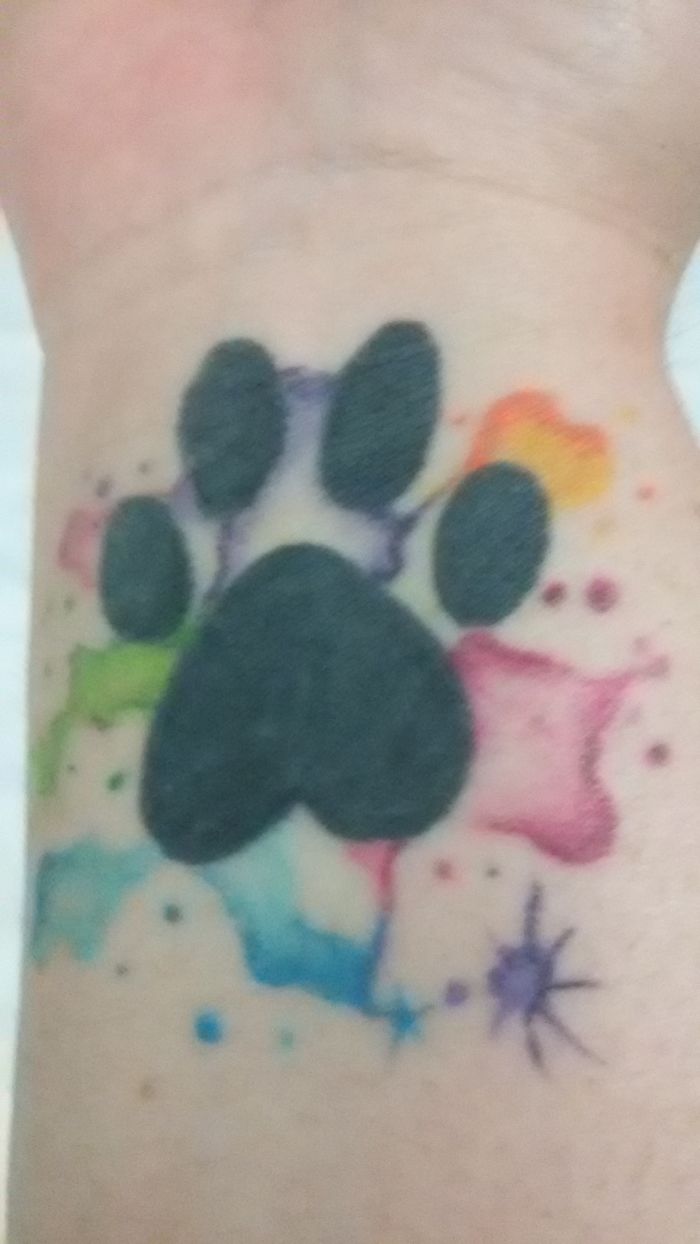 Colorful dog paw tattoo with watercolor splashes on skin.