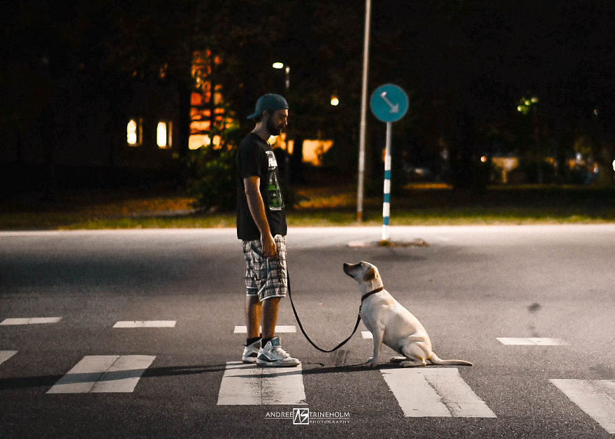 I've Taken A Picture Of My Husband And Our Labrador Every Trip In The Same Position