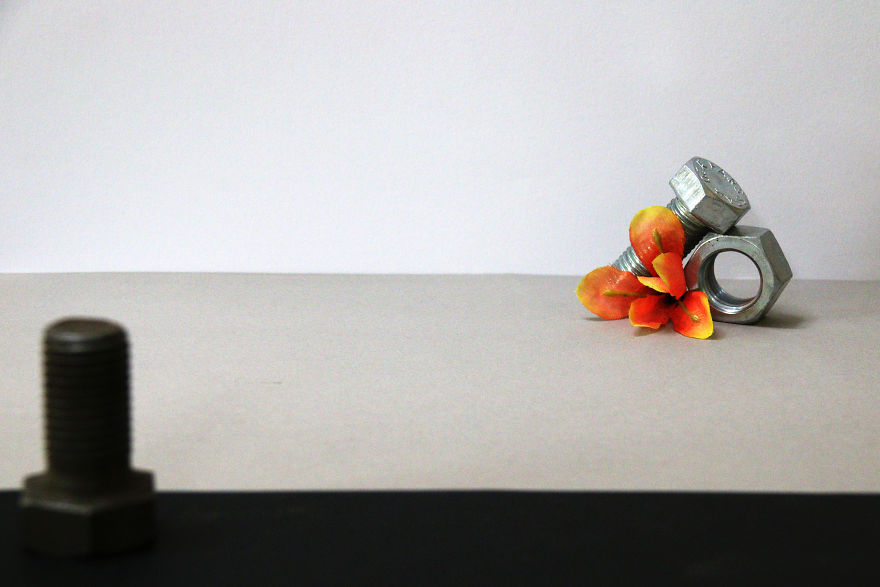 I Try To Say That You Can Show Tender Subjects With Rough Objects