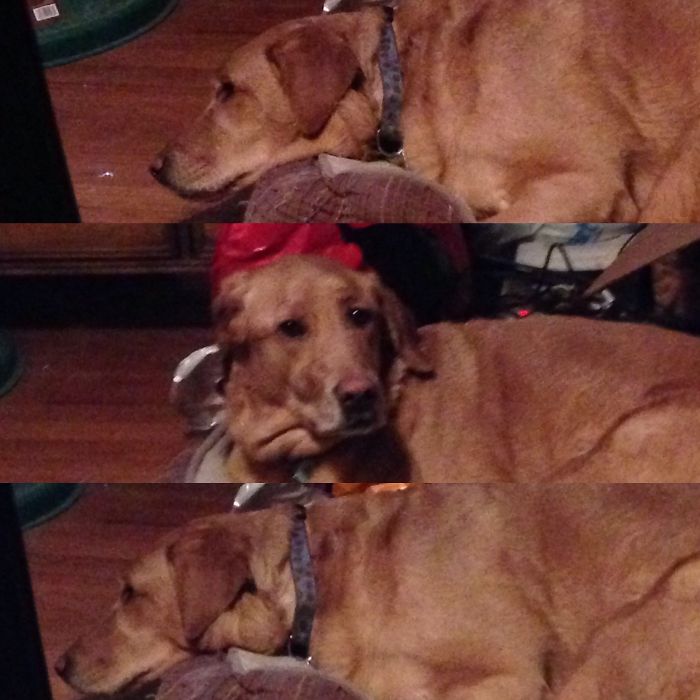 Before, After Being Called A "good Girl", And Then...