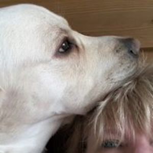 sue_thebirdsnest avatar