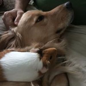 sherekeewoman avatar