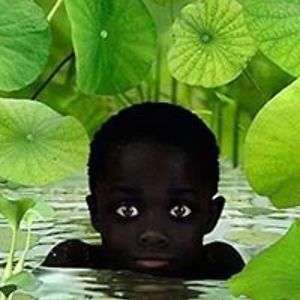 malaymangalsingh avatar