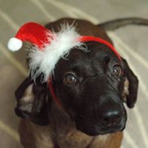 marta_bernardino avatar