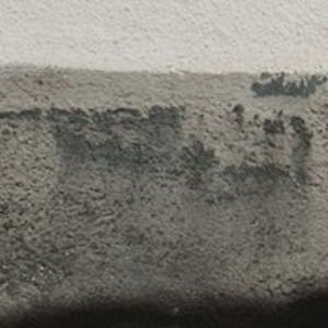 albu_paul_andrei avatar