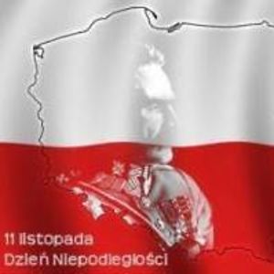 olender_rafal avatar