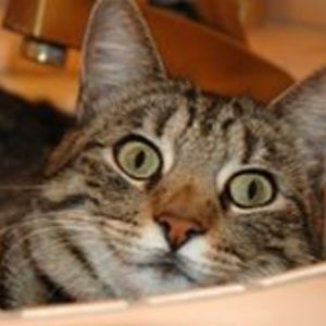 weigandbarbara avatar