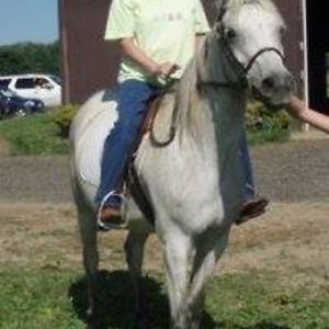 karen_chapman avatar