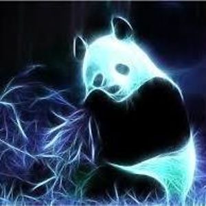 mad_panda avatar