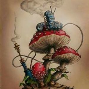 sherry_nelson avatar