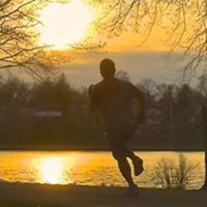 laborlitigator avatar