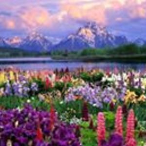 harvestqueen2003 avatar