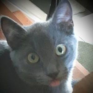 onborderline1981 avatar