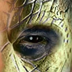 liquidreptilian avatar