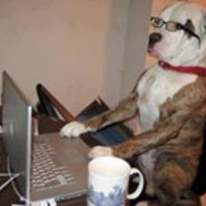 lgennodiesewell avatar