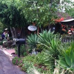 delores-wright avatar