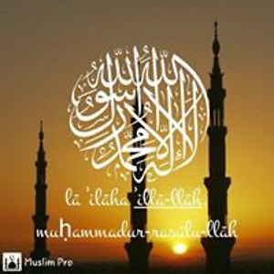 saffiyah_hrahsheh avatar