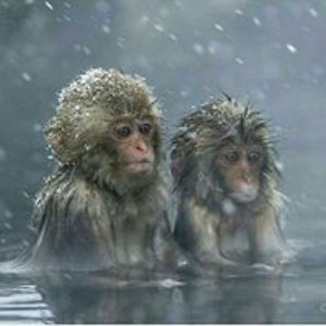 clairetmann59 avatar