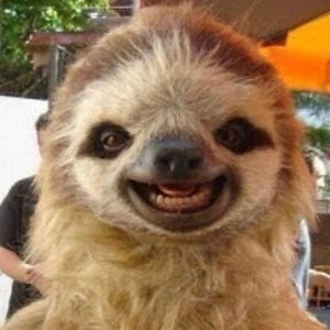 serjsvetlyachkov avatar