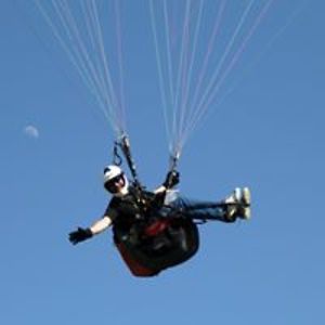 pavlosdimitriadis_1 avatar