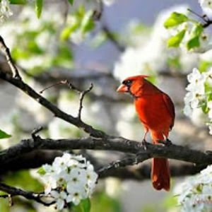 lourascoesuggs avatar